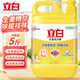 立白生姜洗潔精食品用去腥除味去油洗碗液洗滌靈按壓大桶家用不傷手 生姜洗潔精2.5kg