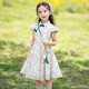 安妮優(yōu)兒（Anneyol）女童旗袍連衣裙夏季2026新款兒童裝洋氣夏裝女孩夏款公主裙子夏天 綠色 160