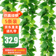 雙盟仿真藤條綠蘿葉婚慶節(jié)慶裝飾假樹葉藤蔓塑料花藤下水管道遮擋綠葉
