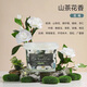 羞小情山茶花洗衣凝珠五合一濃縮洗衣液洗衣球速溶香氛持久留香去污 【強效潔凈】200顆袋裝