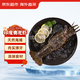 京東超市 海外直采冷凍青龍蝦/小青龍 200-300g/只 高端海鮮食材