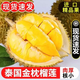 泰國新鮮水果A級金枕頭榴蓮一整個(gè)2-7斤軟糯香甜 金枕頭榴蓮3-4斤包3房