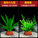 瘋狂水草免種植懶人造景水培魚(yú)缸水草直接入缸小九冠草鹿角茸源頭直發(fā)包郵