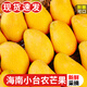 庾豐海南芒果新鮮現(xiàn)摘芒果孕婦水果 熱帶整箱當(dāng)季大青皮芒果 需催熟 5斤甄選裝（凈重4.5斤）