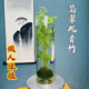 金穗啟夢(mèng)水培翡翠觀(guān)音竹苔蘚球米竹水養植物懶人辦公室內桌面好養綠植 臥室客廳臥室客廳苔蘚球米竹32根 35厘米【+營(yíng)養液】