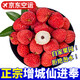 探鮮鋒（TANXIANFENG）正宗廣東增城仙進(jìn)奉荔枝正宗增城產(chǎn)區(qū)孕婦可吃水果當(dāng)天采摘現(xiàn)摘 增城仙進(jìn)奉3斤