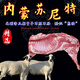 首菜首家羊肉整只羊腿京蒙草原正宗蘇尼特羔羊肉烤全羊燒烤年貨節(jié)日送禮 羊前腿整只5斤左右（可切塊）