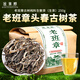 班章醇老班章普洱茶生茶云南古樹茶散茶新茶口糧茶頭春生普洱茶葉自己喝 【高品質(zhì)口糧茶】250g