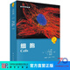 生命科學(xué)名著(zhù)：細胞 [Cells] 科學(xué)出版社