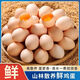 農家散養土雞蛋鮮雞蛋正宗山林喂養初生蛋高營(yíng)養土雞蛋40g-50g/枚 10枚（單枚40克）