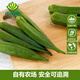 小湯山 秋葵 200g 基地直供新鮮蔬菜安全可追溯
