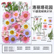 墨里萊干花diy 壓花DIY押花材料包寫真花瓣書簽真花滴膠植物標本 洛麗塔花園（37片）