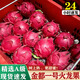 譯蒙之味廣西金都一號紅心火龍果蜜寶紅肉大果新鮮當(dāng)季孕婦時(shí)令水果 4.5斤大果【約6-7個(gè)】精選裝