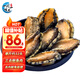 一蝦一世界鮮活冷凍原汁大號鮑魚(yú)/三去無(wú)殼鮑魚(yú)肉 撈飯海鮮燒烤食材 年夜飯 中號鮑魚(yú)肉500g 約32只【凈重75%】