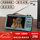 山水（SANSUI）便攜式插卡U盤隨身聽老人充電藍(lán)牙音箱迷你FM收音機(jī)聽書機(jī)視頻機(jī)戶外擴(kuò)音器無線廣播半導(dǎo)體 寶藍(lán)M35【視頻播放+便攜收音】