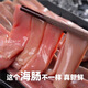 海腸子皮鮮活海沙蟲冷凍海腸皮海鮮新鮮海腸膠子 200g*3包