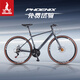 鳳凰公路自行車(chē)休閑競技變速鋁合金車(chē)架破風(fēng)賽車(chē)公路車(chē)內走線(xiàn) GT600 平把 鈦金灰（禧瑪諾/藍圖） L （建議身高170-195cm） 24速 禧瑪諾（平把）