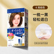 塔麗雅（Dariya）日本SALON de PRO染發(fā)劑膏黛莉亞Dariya男女士蓋白發(fā)染發(fā)膏遮白發(fā) 4號亮棕色