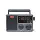 德生（Tecsun） RP-309便攜式DSP數(shù)字解調(diào)收音機藍牙TF卡U盤播放臺式老年人可充電 德生307標配+充電器
