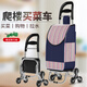 希維思 SIVASS買菜小拉車家用便攜超市購物車?yán)先伺罉禽p便可折疊拖車?yán)瓧U手推車 【水晶鋼軸爬樓輪】-藍色升級款 無規(guī)格