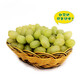 白馬奶葡萄大脆甜新鮮牛奶葡萄帶箱6斤綠葡萄孕婦老人水果 2500g