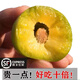 脆甜】四川脫骨李子5斤正宗脆紅李非青脆李蜂糖李茵紅脆李子爆甜3 5斤【大果】