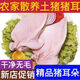 【順豐發(fā)貨】冷凍豬耳朵片豬耳尖豬耳朵商用肉帶根一只三到四兩 豬耳朵【10只】
