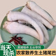 新鮮長(cháng)豬尾巴正宗農家土豬短尾巴整根帶皮去毛干凈當天現殺黑豬尾 短尾巴【1斤裝】