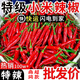 【巨辣爆辣】云南現(xiàn)摘小米辣鮮椒特辣新鮮魔鬼辣椒朝天椒整箱批發(fā) 新鮮小米辣椒批發(fā)價(jià)低價(jià)補(bǔ)貼 50g 帶箱5斤【尊享特級】