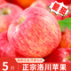 洛川蘋(píng)果洛川紅富士蘋(píng)果陜西特產(chǎn)時(shí)令生鮮水果產(chǎn)地直發(fā) 健康輕食 5斤中果75-80mm（凈重4.5斤）