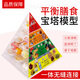 美善模型2022版膳食寶塔中國居民膳食平衡寶塔模型嬰兒孕婦老年人食物模型平衡寶塔食物膳食金字塔營(yíng)養食物 膳食寶塔模型