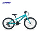 捷安特（GIANT）XTC 20鋁合金20寸7速V剎變速青少年自行車(chē) 凱利綠 20×10 建議115-135cm