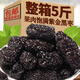 紫晶黑棗大烏棗大顆粒黑棗狗頭棗泡酒煲湯煮粥補氣血零食圓黑棗 【蜜潤軟糯】紫金黑棗500g*2袋