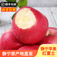 靜寧蘋果 【順豐到家】甘肅紅富士蘋果 現(xiàn)摘當(dāng)季新鮮水果蘋果源頭直發(fā)包郵 優(yōu)選裝凈重5斤中果 單果200-220g