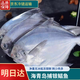 魃鮮海捕新鮮銀鯧魚(yú) 鮮凍大號白鯧魚(yú) 海鮮水產(chǎn)鯧鳊魚(yú)平魚(yú) 400g- 500g /條（2條裝）