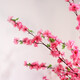 花藝知己仿真桃花枝客廳商場(chǎng)落地擺放桃花樹(shù)假樹(shù)裝飾插花梅花人造花桃樹(shù)枝 仿真桃花枝120cm粉色 單支 1支