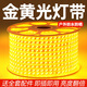 梵耀 戶外防水金黃光燈帶 led超亮燈條 220v客廳外墻專用工程高壓燈帶 120珠-金黃光-1米