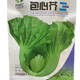 唯友（WEIYOU）蔬菜種子四季播家庭陽臺盆栽庭院易種植雞毛菜菜種子陽臺蔬菜種子 芥菜(約4000粒)
