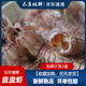 帶膏皮皮蝦全母熟煮2盒裝冷凍特大帶膏帶籽瀨尿海蝦海鮮水產(chǎn)廣東 帶膏皮皮蝦1盒試吃裝