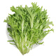 京鮮生 苦菊 600g 北京 簡裝 新鮮蔬菜