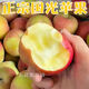 東北小國光蘋(píng)果酸甜脆新鮮蘋(píng)果 水果正宗老式國光2斤國光5斤10斤 蓋縣國光小果59-64mm]3斤 國光蘋(píng)果酸甜口味