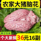 新鮮整副干凈去血膜免處理豬腦花速凍大豬腦左腦右腦小腦火鍋燒烤 豬腦花16副