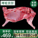 鮮羊官 內(nèi)蒙古 呼倫貝爾天然羊肉 新鮮現(xiàn)殺半只羊10斤 羊排羊腿草飼散養(yǎng) （半只羔羊10斤）