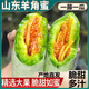 粵迎山東羊角蜜甜瓜【現貨速發(fā)】當季新鮮特產(chǎn)香瓜脆瓜時(shí)令水果生鮮 5斤優(yōu)選果【單果250g+】?jì)?.5斤