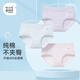 怡蘭芬內褲女純棉抗菌中腰青春期女孩少女學(xué)生女大童三角褲 434236抗菌款 3條 L (參考體重90-110斤)