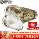 乳山生蠔 鮮活海蠣子 新鮮整箱牡蠣 生蠔鮮活 10斤 精品3XL號 3-4兩（約24-32個(gè)）