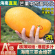 京橙美錦海南三亞金煌芒果新鮮當季熱帶水果特大水仙爆甜生鮮特產(chǎn)芒果整箱 5斤大果 單果6兩+,店長(cháng)推薦