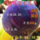 子暄特大無(wú)花果樹(shù)苗無(wú)花果苗超甜大果南方北方種植耐寒盆栽地載當年結 巨蜜無(wú)花果 5年苗隔年結果