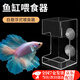 喆煒魚(yú)缸喂食器防飄散防渾水不傷魚(yú)小魚(yú)魚(yú)食投喂器喂魚(yú)投食圈定點(diǎn)投喂 1個(gè)長(cháng)形透明_可上浮/下沉魚(yú)食多