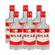 劍南春喜酒 52度 500mL 6瓶 綿竹大曲 紅標(biāo)